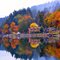 Fall colours at Maple Bay, BC