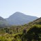 Near Port Alice