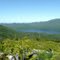 Alice Lake