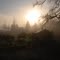 Misty Morning II
