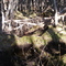 Stream Path @ Whirlpool