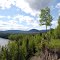 Overlooking Morice River