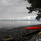 Near Pulteny Point, Malcolm Island