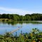 George C. Reifel Bird Sanctuary B.C. Canada