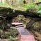 2009-01-14-67-RAIN FOREST TRAIL A-UCLUELET-B.C.-(More Photos on My Website)