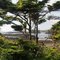 Coast-Trail Vancouver Island