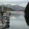 meanwhile on the other side of the dock