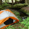Campsite in the woods at Flewin Point