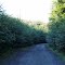 Up the Road to Port Simpson