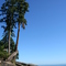 The Beach at Roberts Creek
