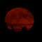 Orange Moon Rising /Davis Bay