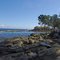Mayne Island Beach.