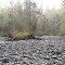Dick Booth Creek/Quastse River