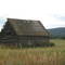 Old Cabin