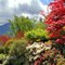 Japanese Garden, Nakusp, BC