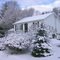 Frosty Morning at Home