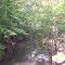 Spring Creek @ Melder Road South View