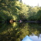 Up the creek at the end of McKay Cove