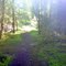 Spring Island cross island trail
