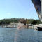 Shearwater BC