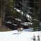  2 Caribou