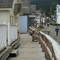 boardwalk