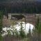 On the road to Bowron Lake / B.C. / Kanada / Mai 2007