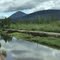 Near Wells BC