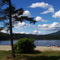 Whonnock Lake Beach