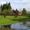 Spring Foals, Langley