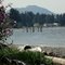From the foot of Oar Road: looking towards Nanoose...