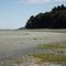 Blueback Beach: Looking south...