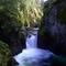 Lower Englishman River Falls
