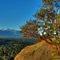 Morning View from Little Mountain