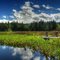 Hamilton Marsh