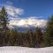April Fools - It Snowed Overnight