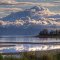 Parksville Bay on a Calm Spring Morning