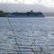 Cruise Ship