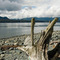 Alert Bay, Vancouver Island in Background