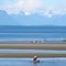 Las montañas del continente y el estrecho de Georgia desde la playa de Campbell River