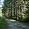 Gate on Road to Cook Bay