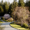 Dogwood Drive