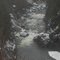 gold river in march