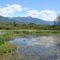 Wetland at McBride BC