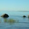 Little Bird Island with Bird Island in the distance looking south