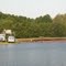 Wareham cranberry harvest