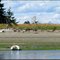 Camping at Shark Spit