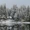 Snowy day on Shawnigan Lake, Vancouver Island