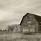 old barn by the oak hammock marsh