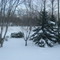 Our Yard